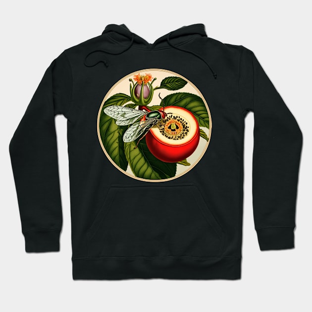 The Cicada beetle sits on the passion fruit flowe Hoodie by Marccelus